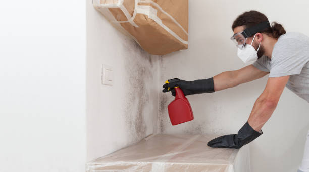 Professional Bathroom Mold Removal technician working in Waverly, MI